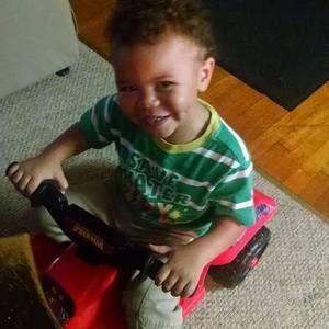 Meet your Posher, Daisy